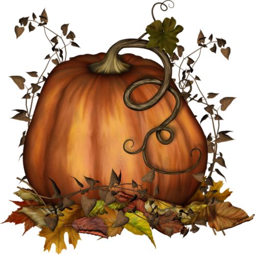 Free Fall Gourds Cliparts, Download Free Fall Gourds Cliparts png ...