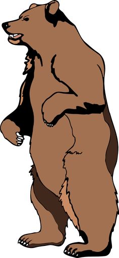 Bears Animal Cliparts