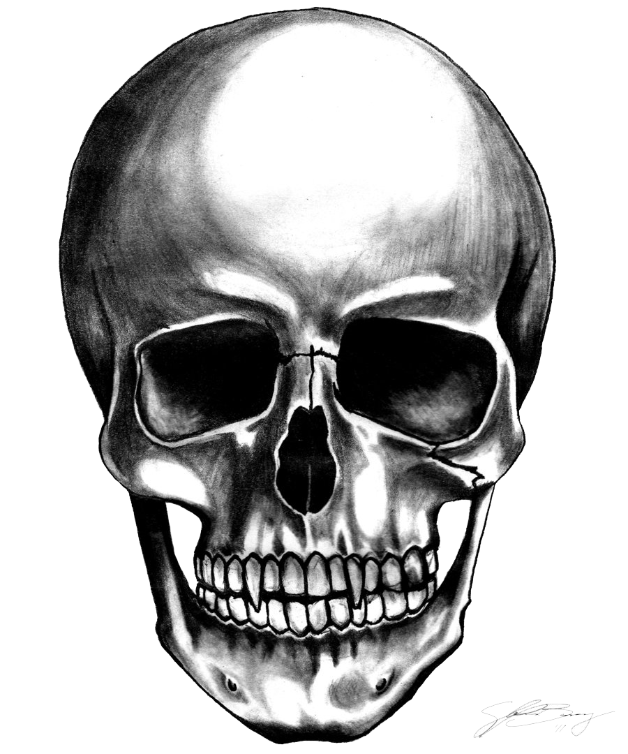 How To Sketch A Skull, Step by Step, Drawing Guide, by Dawn - DragoArt