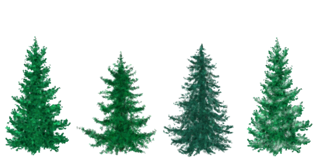 evergreen tree clip art 