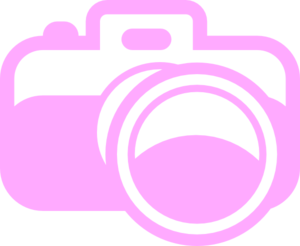 Pink Camera For Photography Logo Clip Art at Clker 