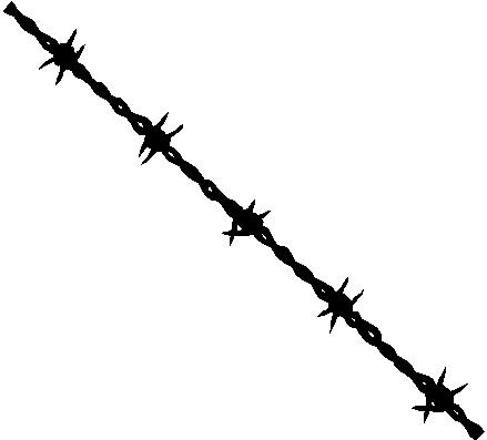 Drawn Barbed Wire 
