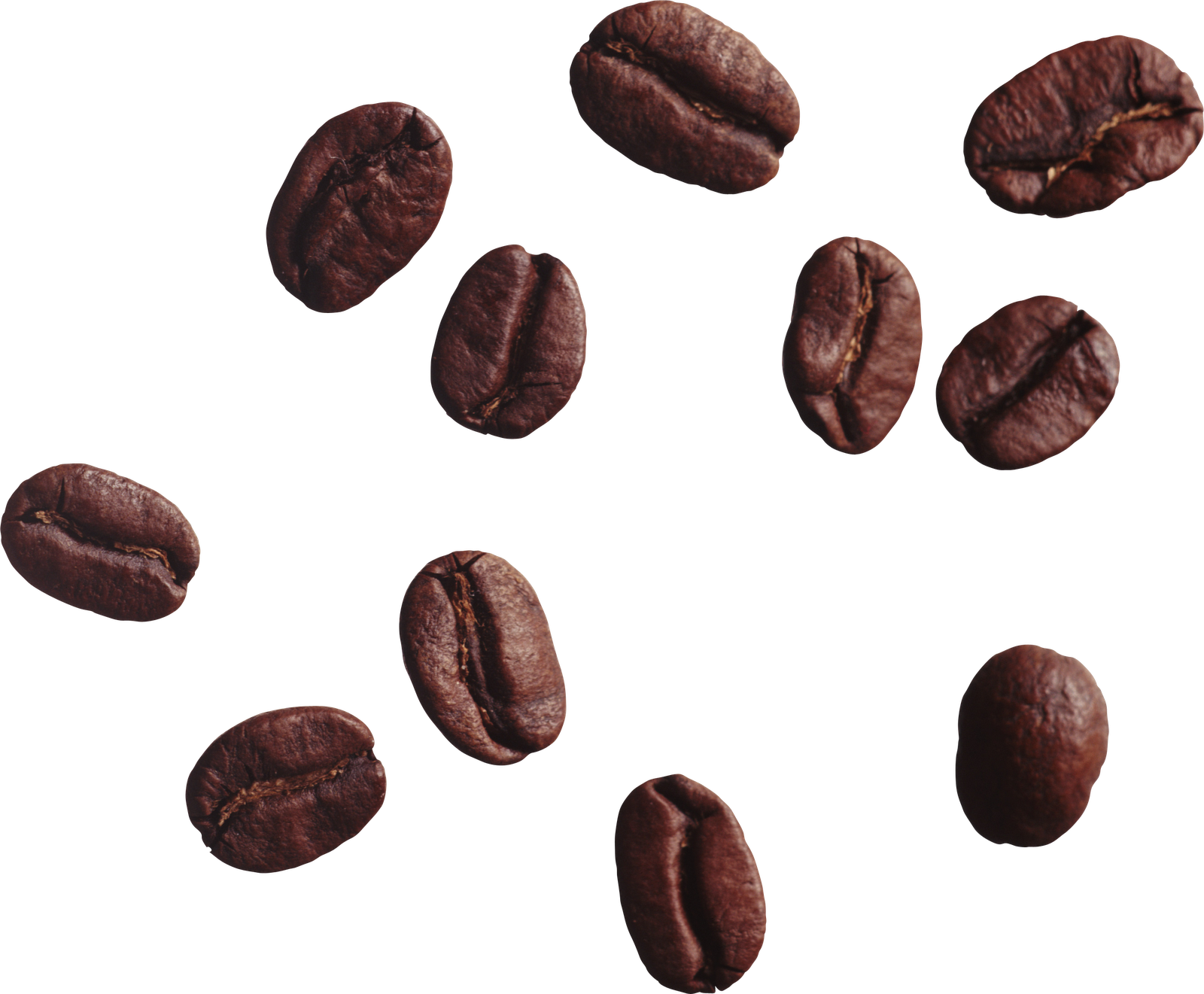 Coffee bean vector clip art 2 