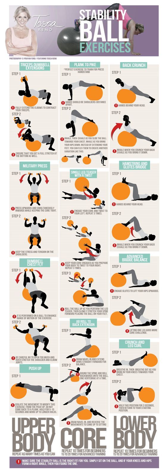 exercises with stability ball - Clip Art Library