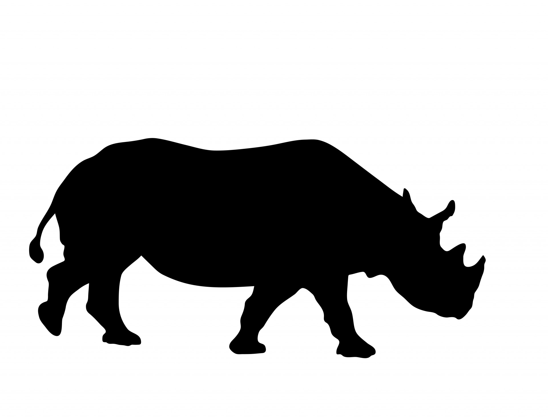 Rhino Silhouette Clipart Free Stock Photo 