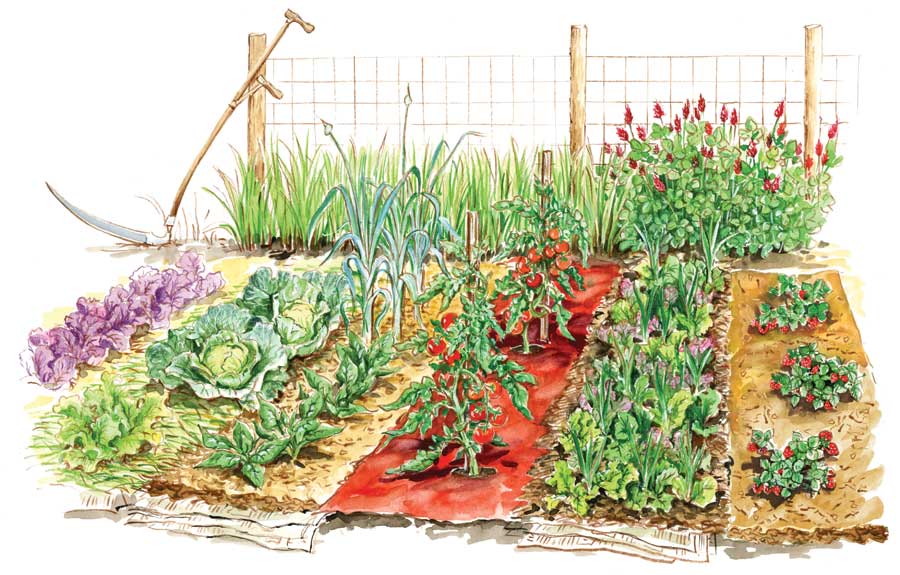 Watercolor Vegetable Garden · Creative Fabrica