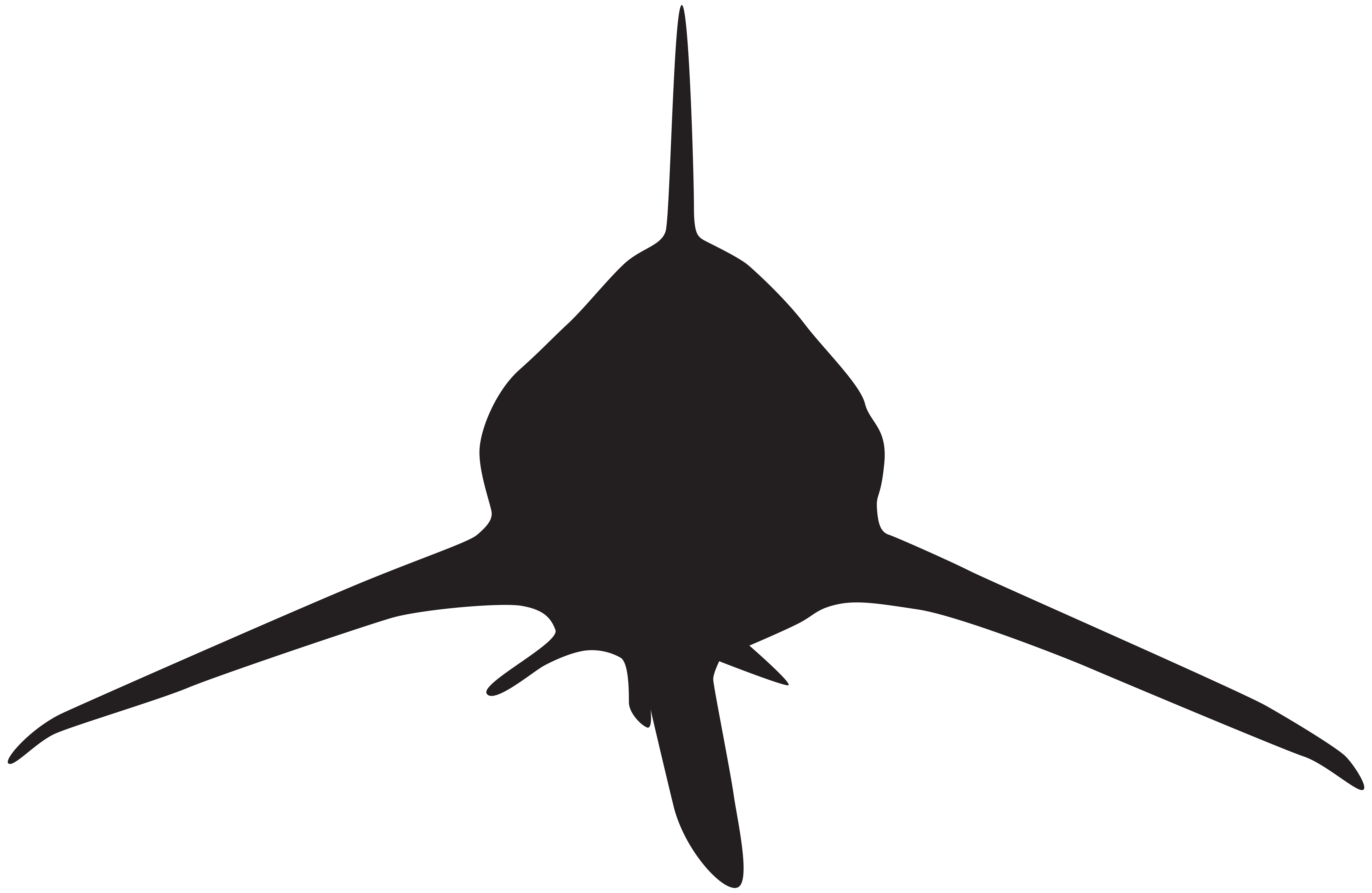 Shark Attack Silhouette PNG Clip Art Image 