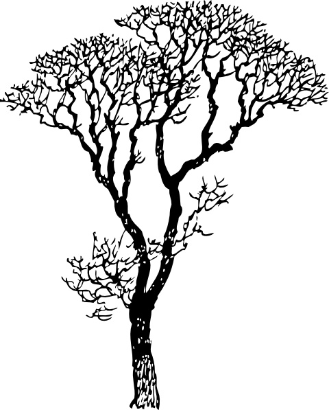 Bare tree swirly clipart 