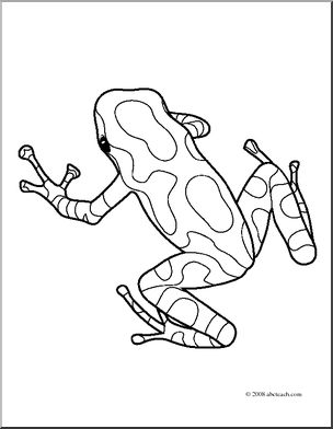 Clip Art: Frogs: Green  Black Poison Dart Frog 