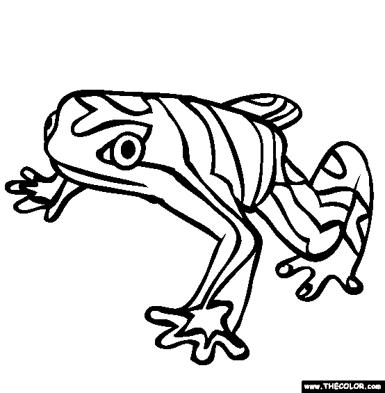 Cute Frog Coloring Page 