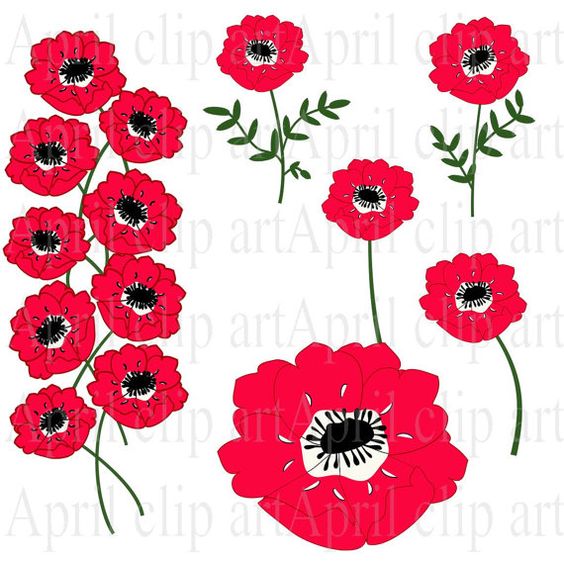 Free Anemone Flower Cliparts, Download Free Anemone Flower Cliparts png ...