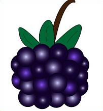 Black Berries Cliparts