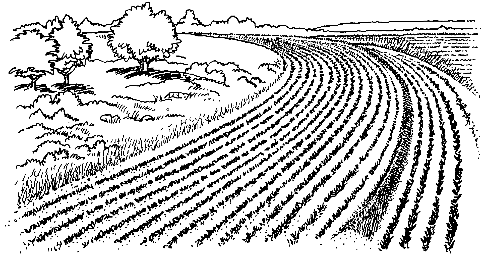 farm fields clipart black and white