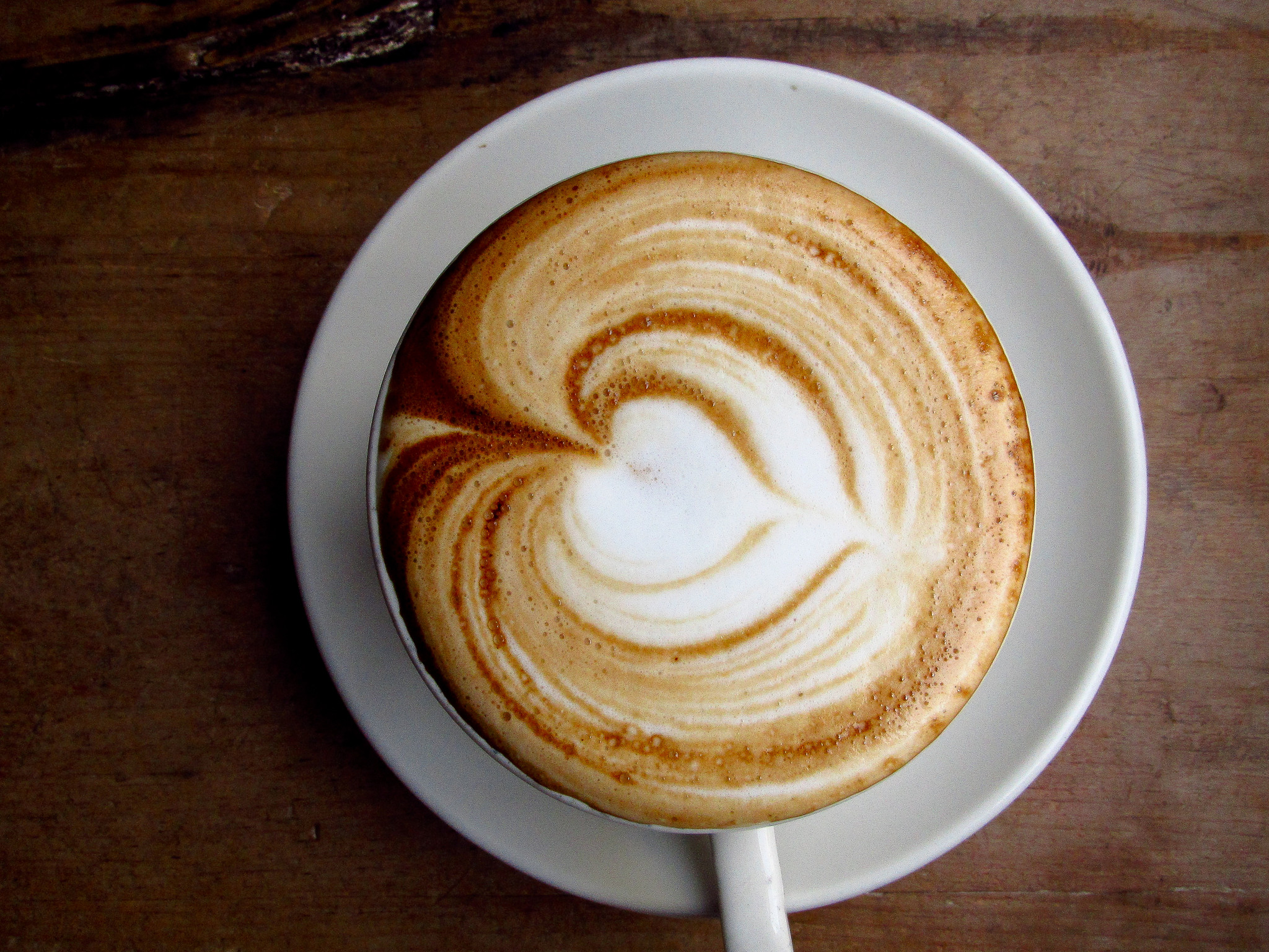 Book tickets for The Whippet Love Coffee night 