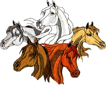 Clipart Horses 