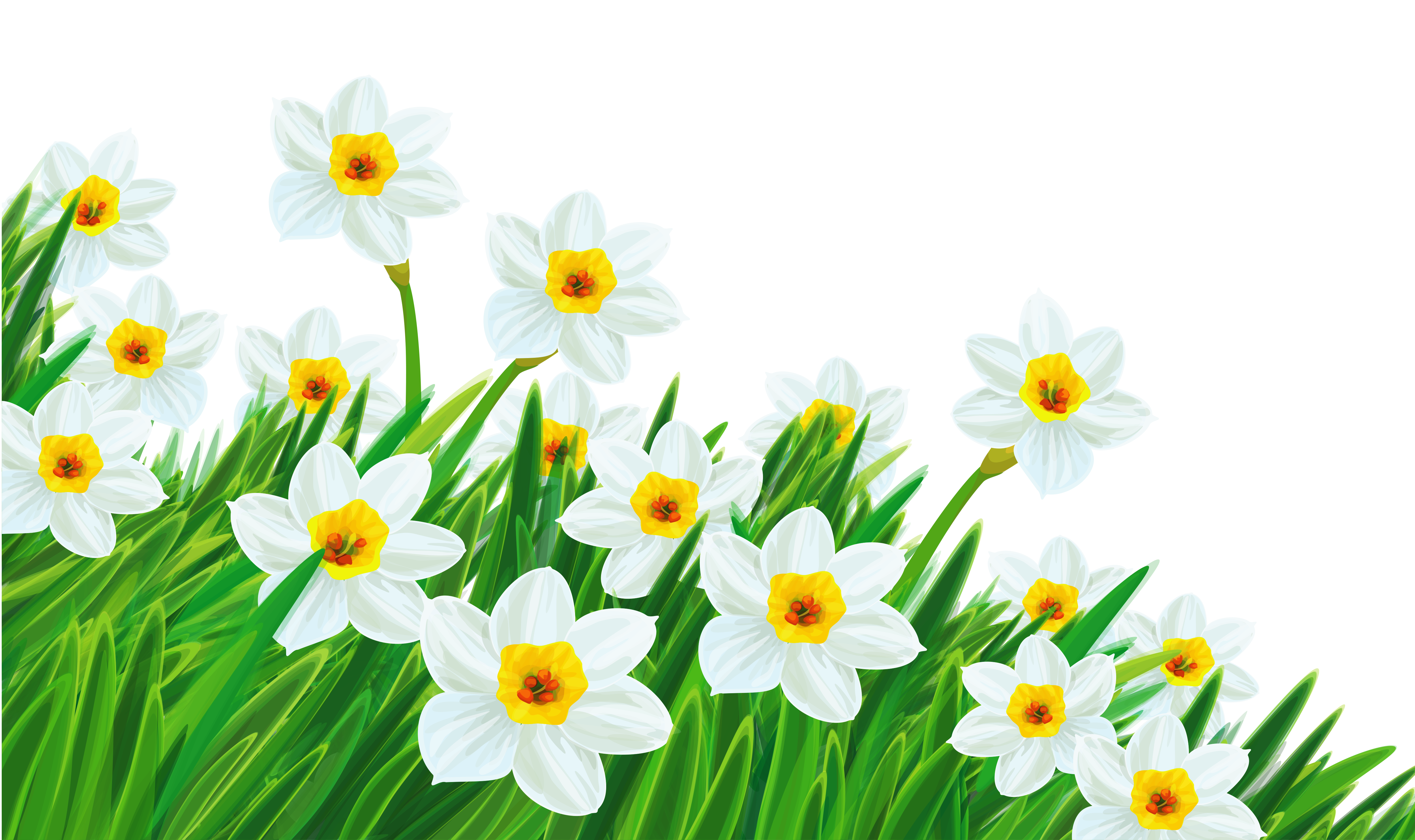 Spring Grass With Flowers PNG Transparent Background U 