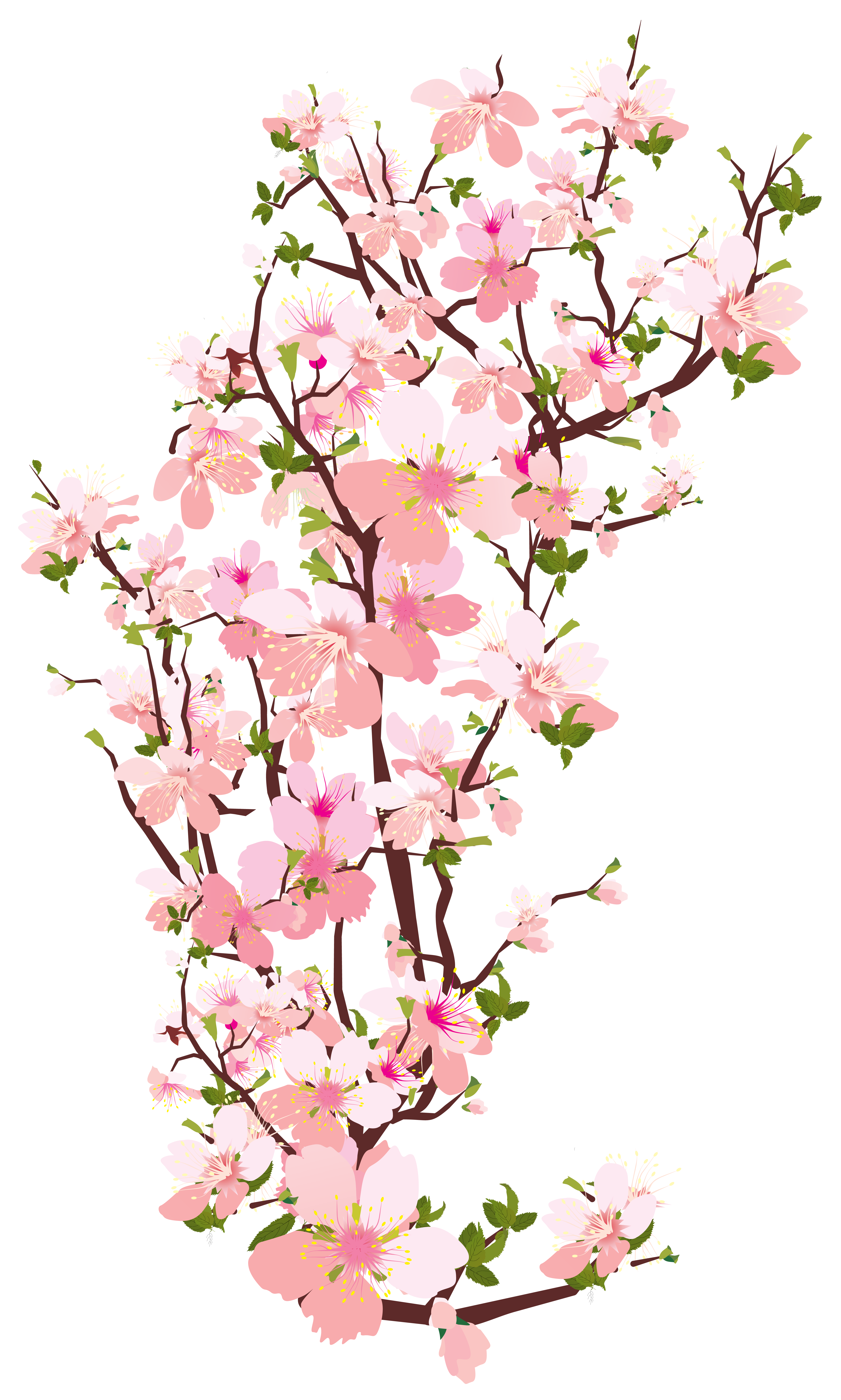 Branch Flower Clip Art Spring Png Download 45962114 Free