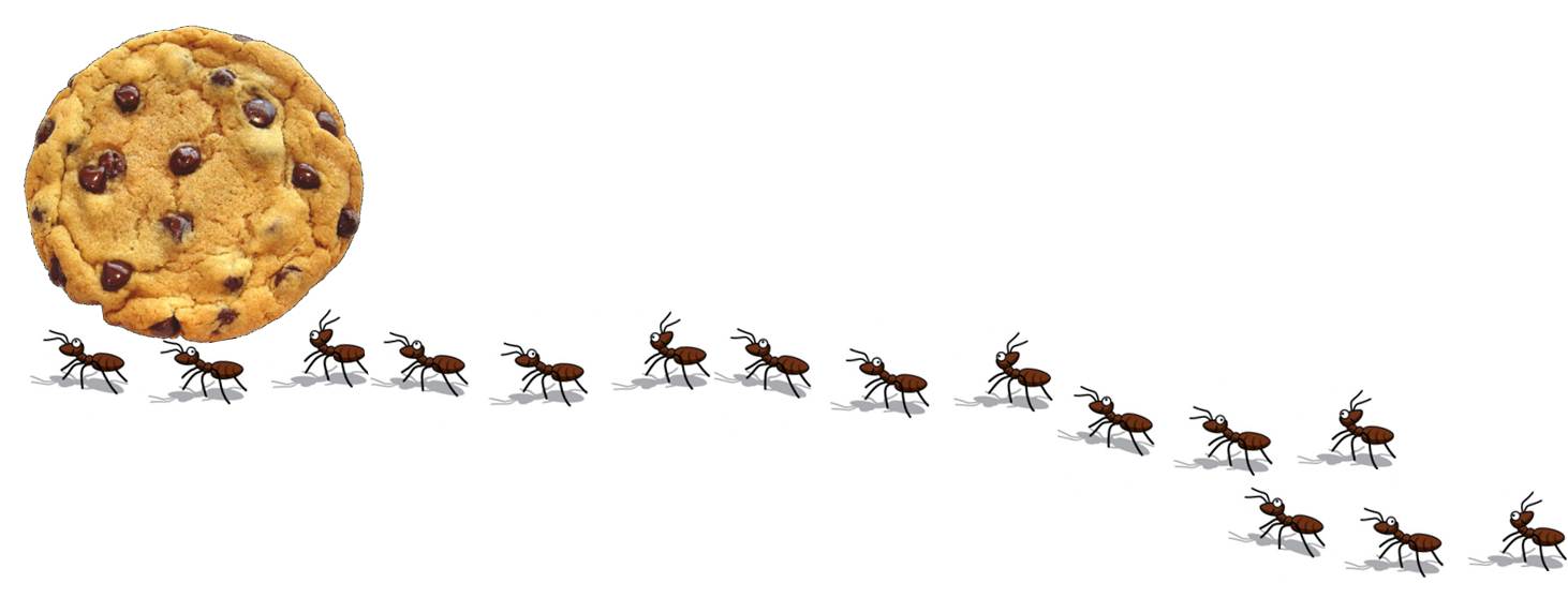Marching Ants Clipart Black And White