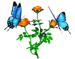 Free insect clipart 