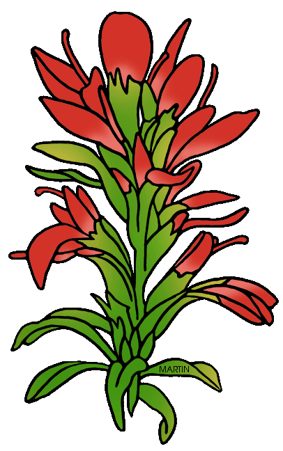 indian paintbrush clipart - Clip Art Library