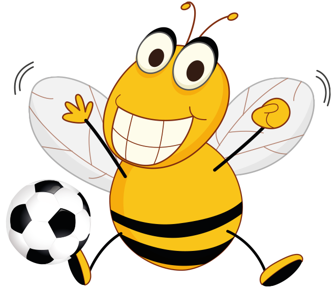 Bee Active – Learn and Move Ltd – Football Academy 