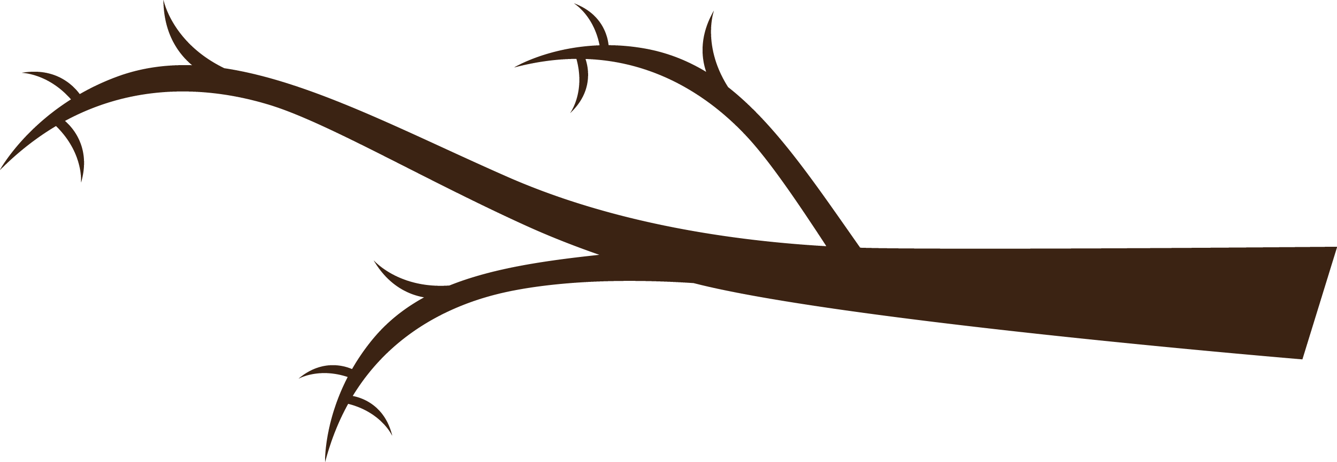 Tree Branch Png 