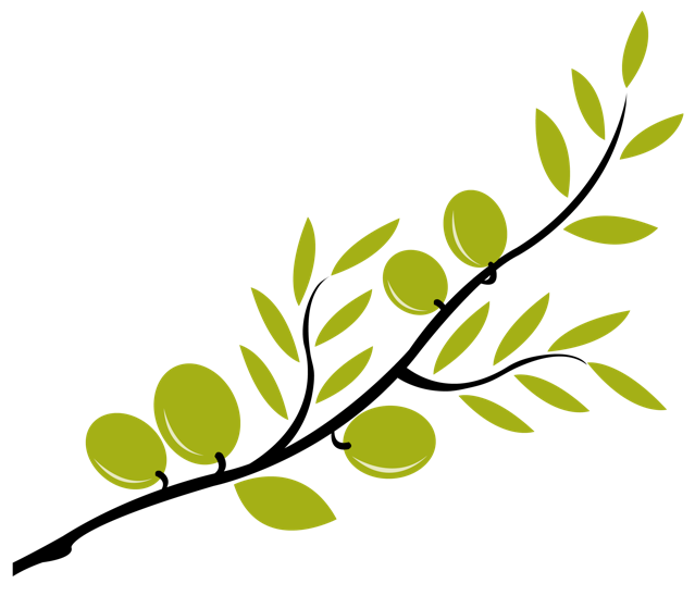 Olive Tree Branches Clipart 