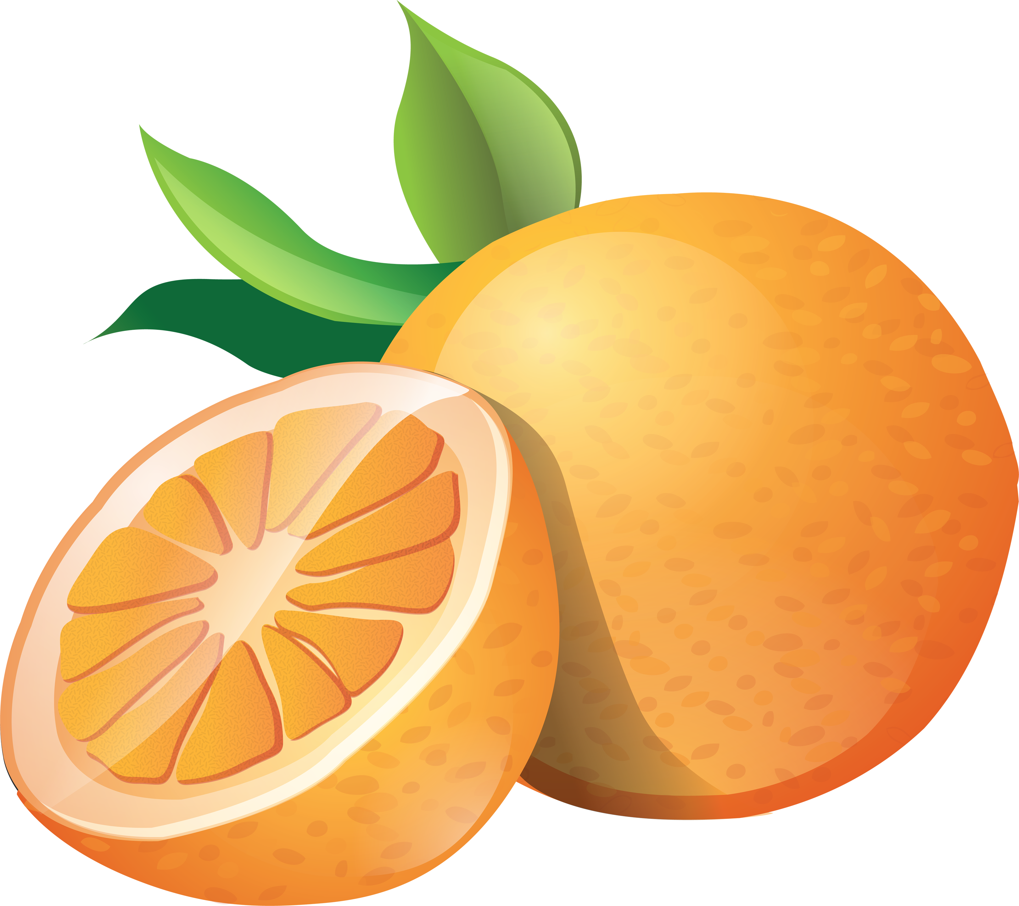Orange clipart image 