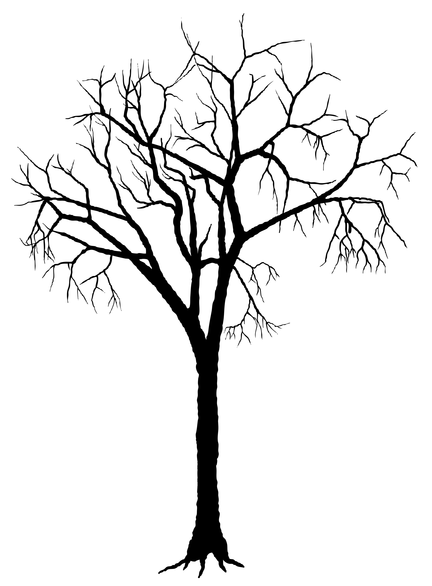 An isolated full length bare tree with roots hand drawn in black ink and  traced. Vector drawing of a tree without leaves 14690034 Vector Art at  Vecteezy