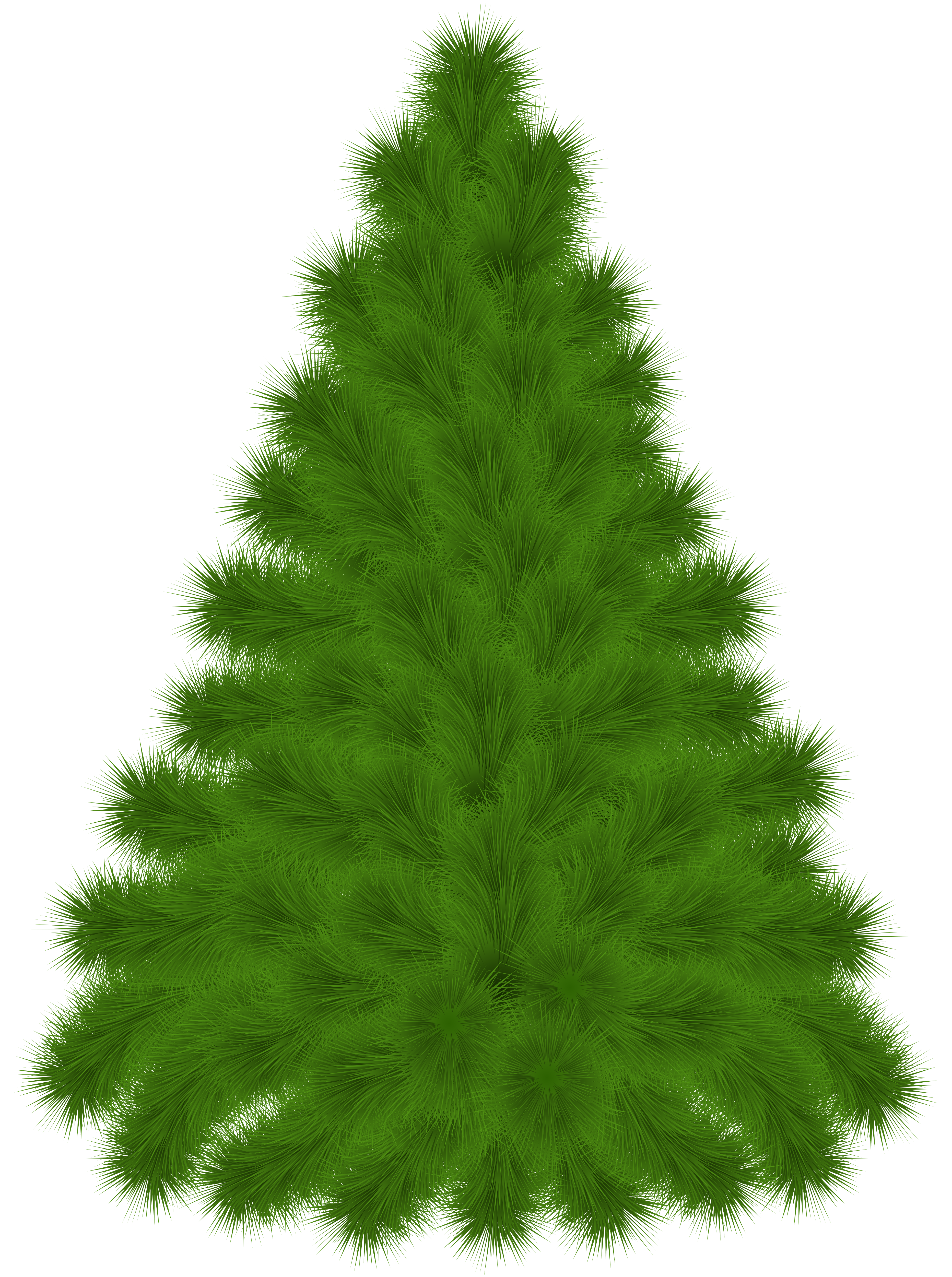 Pine Tree PNG Clipart Picture 