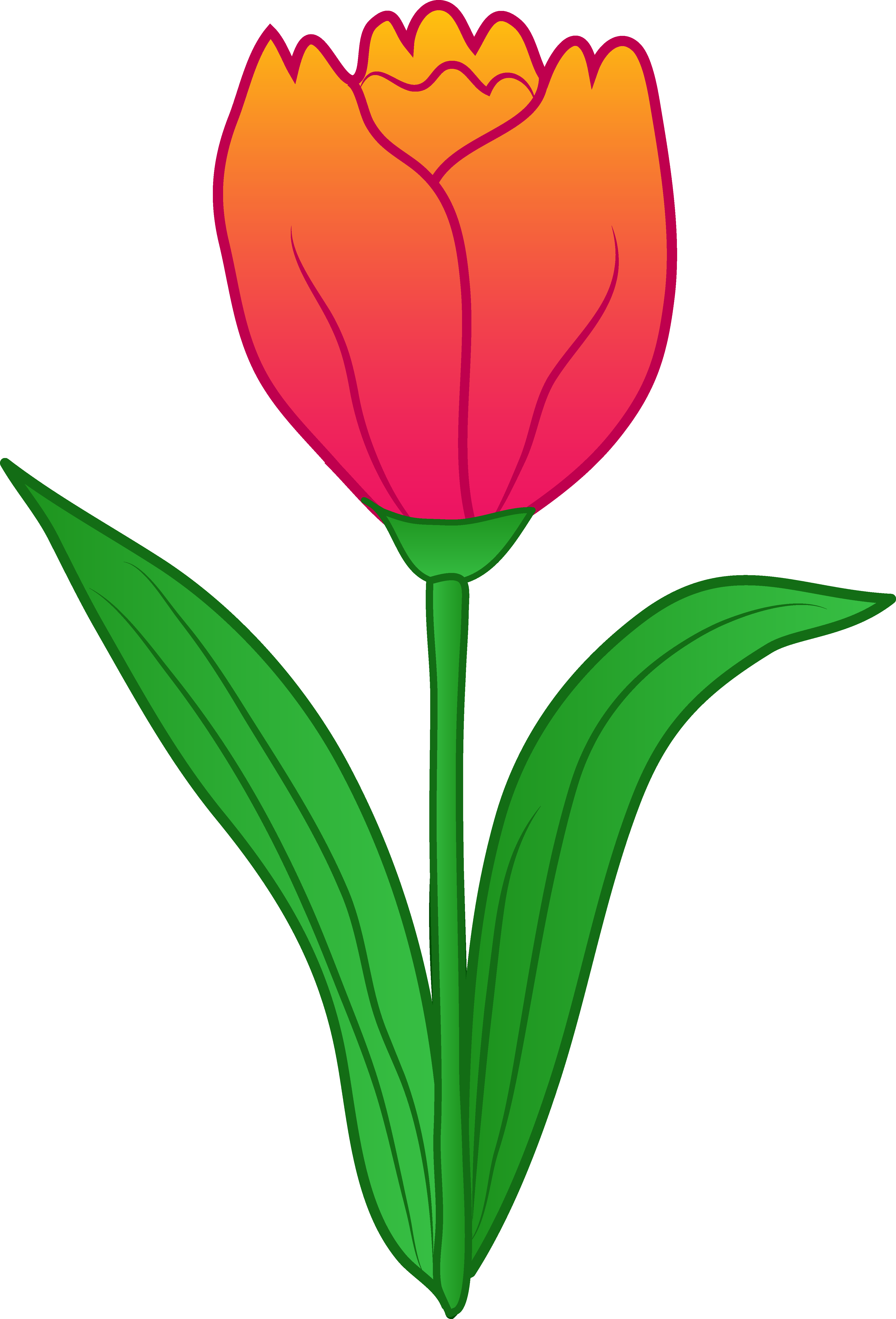 Tulip Clip Art Border 