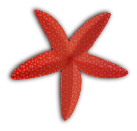 Free to Use  Public Domain Starfish Clip Art 