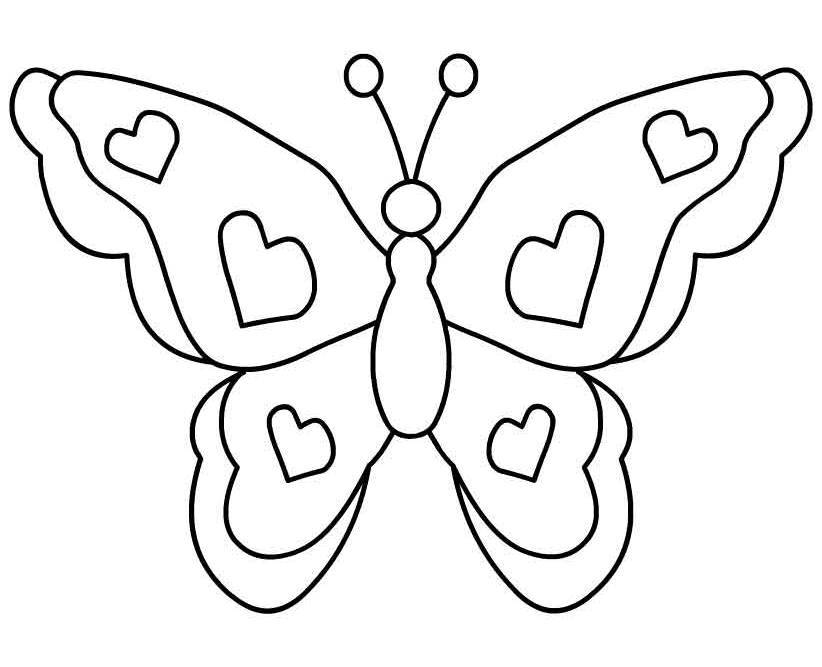 Butterfly Image Free 