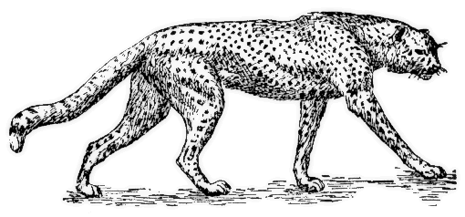 Cheetah silhouette transparent clip art image 
