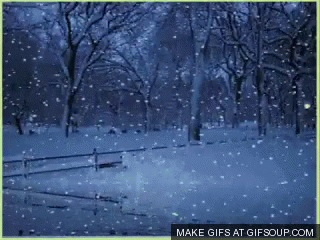 Snow GIF 
