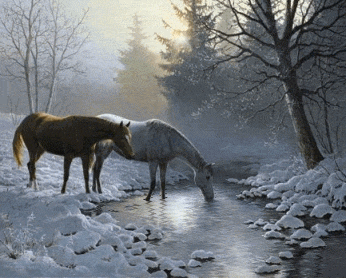 Winter Graphics and Animated Gifs. Winter 
