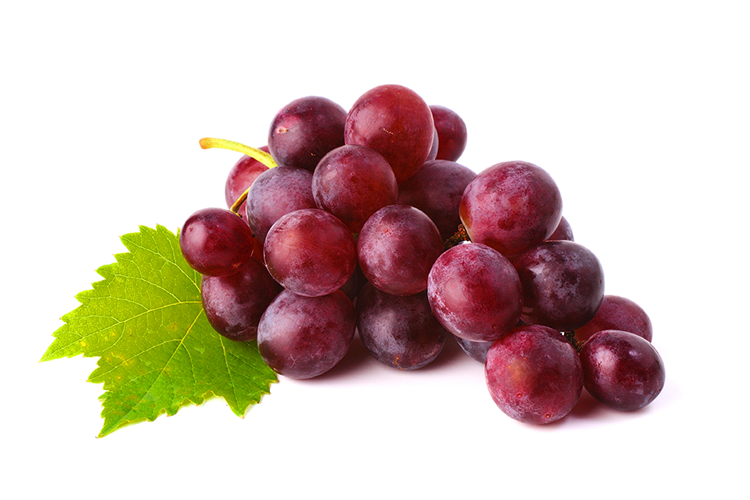 Free Red Grapes Cliparts, Download Free Red Grapes Cliparts png images ...
