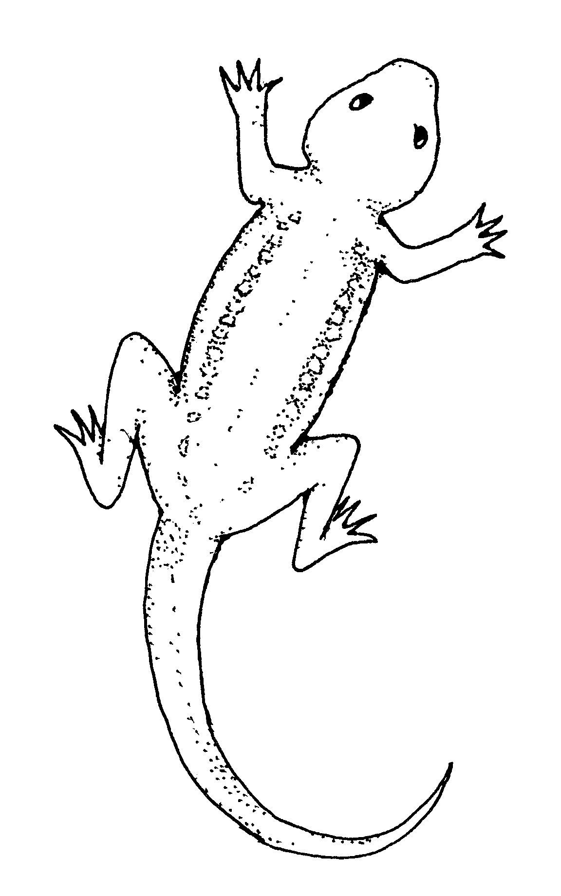 Free Iguana Clipart Black And White, Download Free Iguana Clipart Black ...