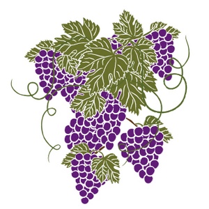 grape vine clip art - Clip Art Library