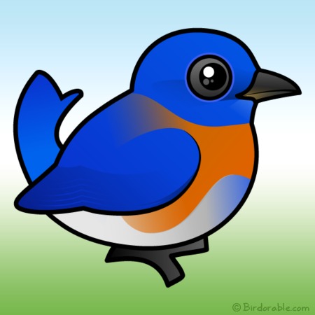 Cute Western Bluebird by Birdorable  Meet the Birds 