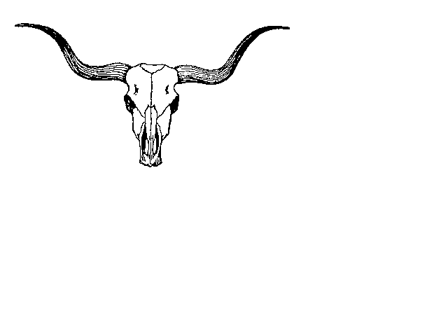 Longhorn clipart pictures 