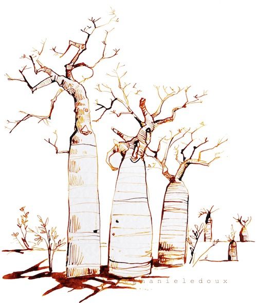 baobab madagascar clipart - Clip Art Library