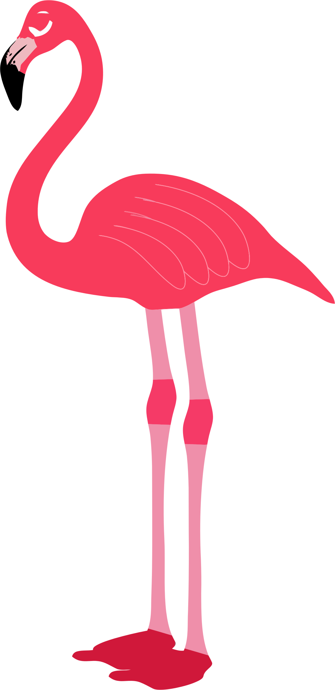 Pink flamingo clipart web clipart 