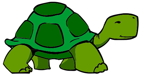 Turtle animal clipart 