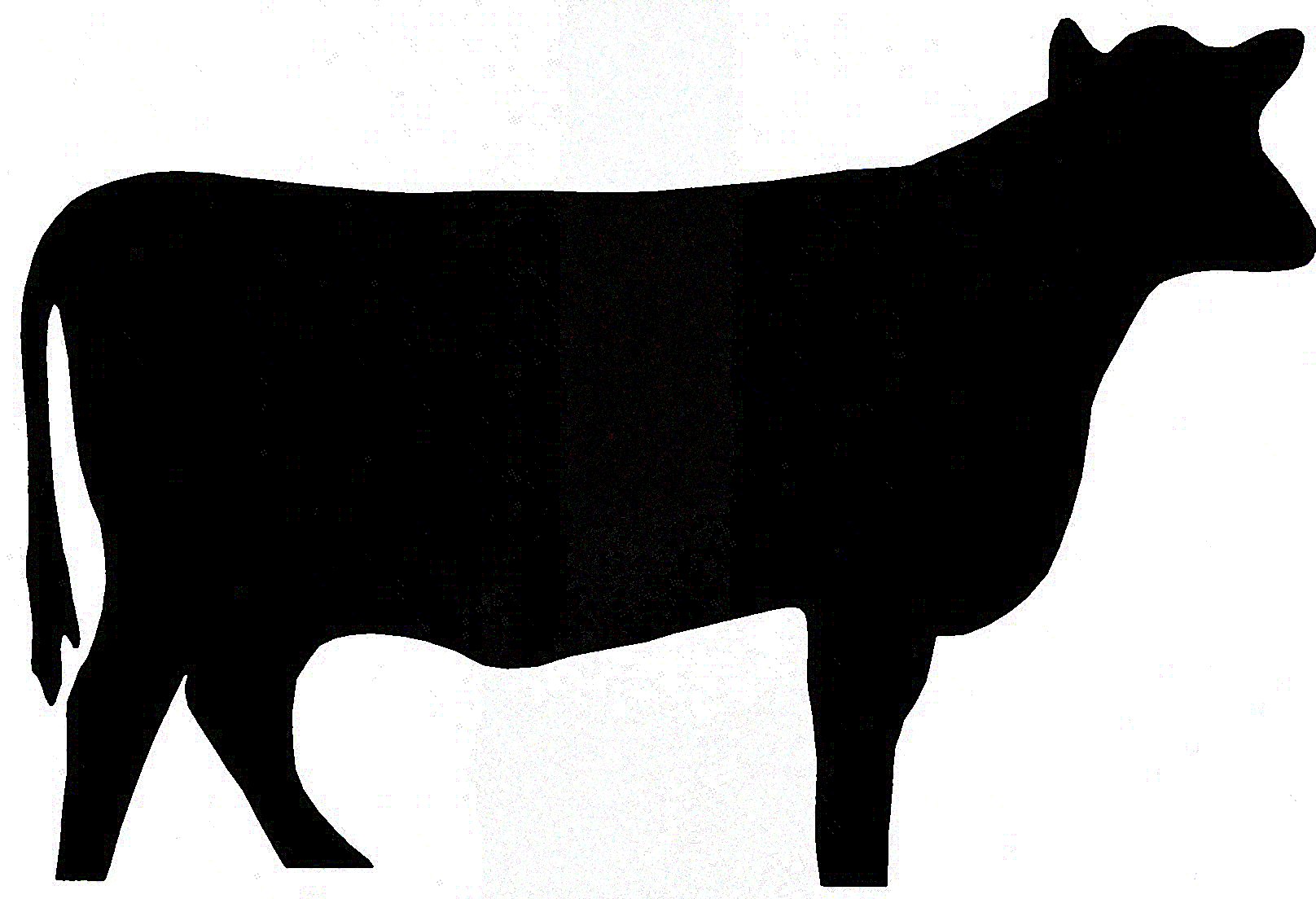 Black cow clipart 