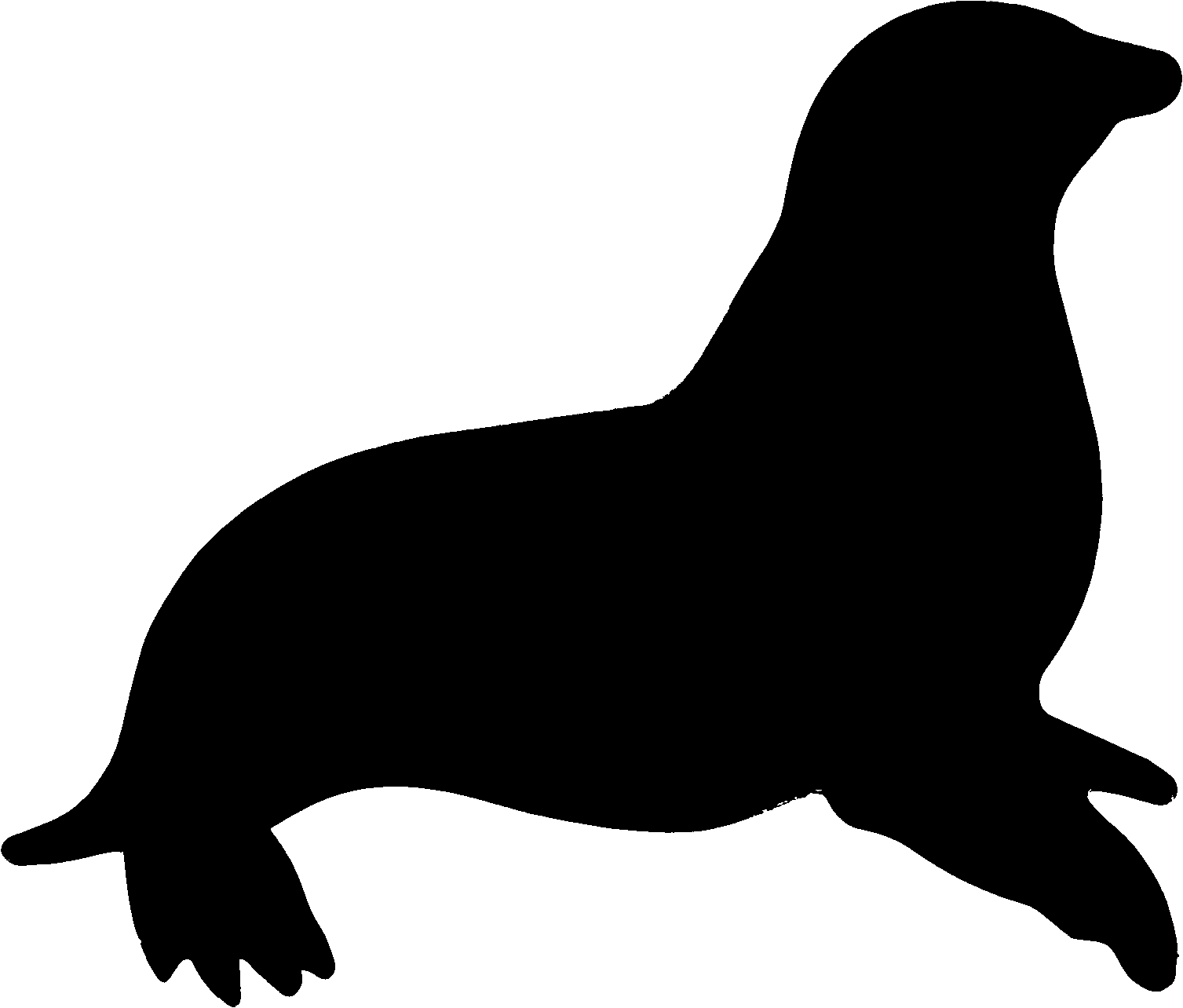 Walrus Clipart Black And White 