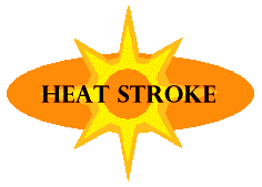 Heat Logo Cliparts