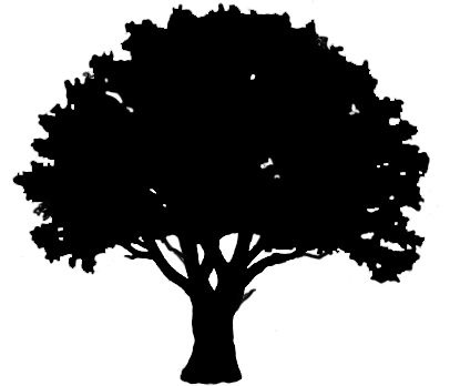Oak tree silhouette logo free clipart image image 