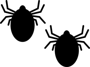 Animal Ticks Cliparts