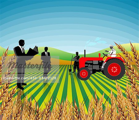 crops clipart transparent background - Clip Art Library